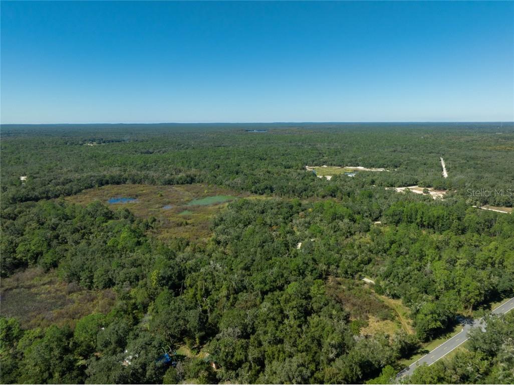 Lot 1 Chipstone Street Webster FL 33597 C7517202 image9
