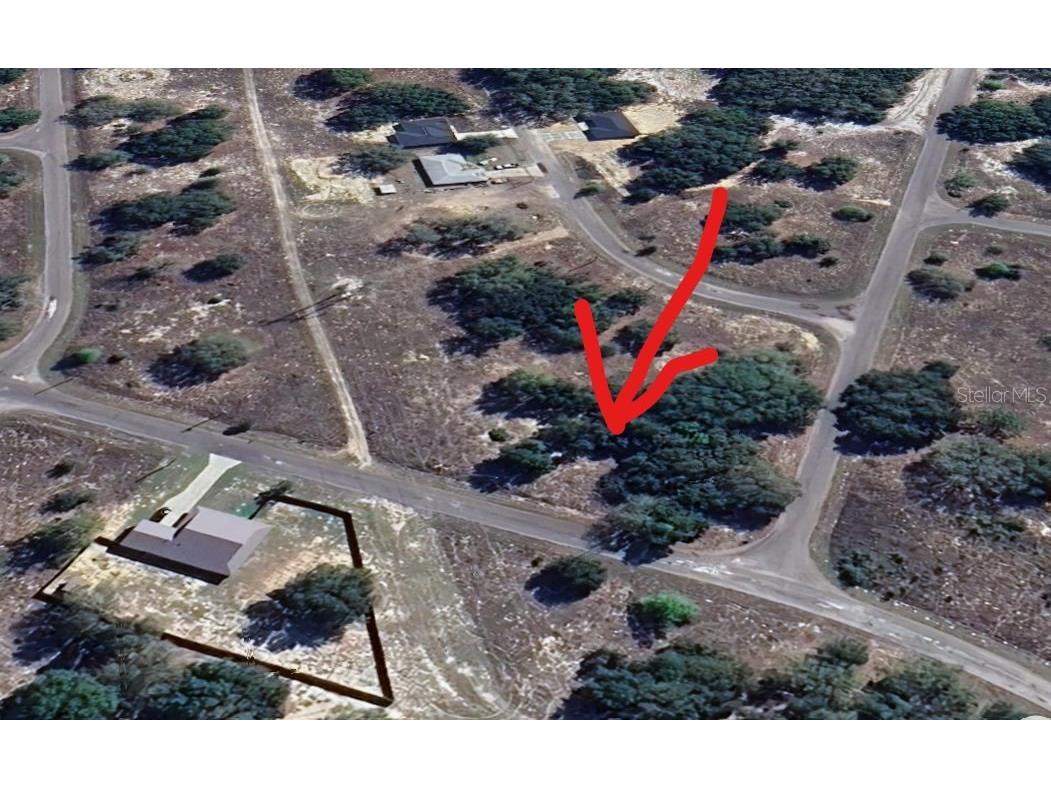 Lot 1 Guava Terrace Ocklawaha FL 32179 C7520741 image4