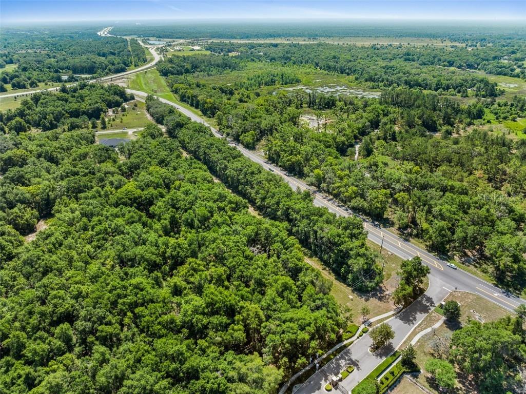 Lot 1 Hojin Street Sorrento FL 32776 O6024761 image13