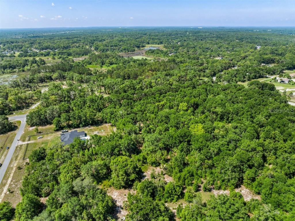 Lot 1 Hojin Street Sorrento FL 32776 O6024761 image16