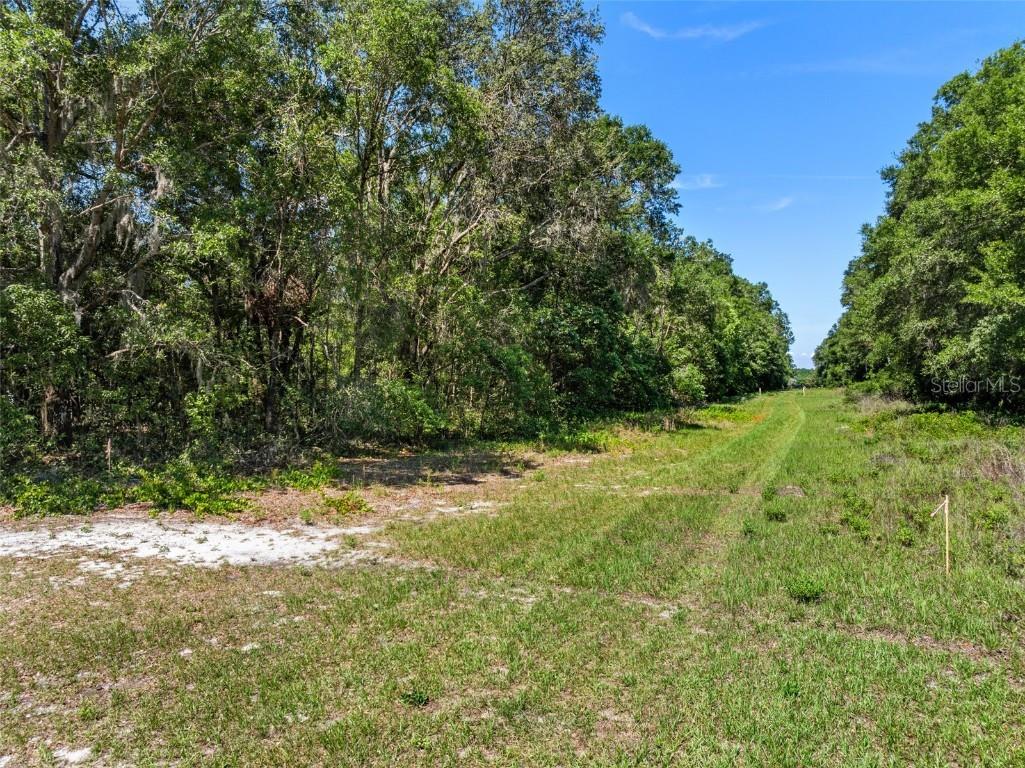 Lot 1 Hojin Street Sorrento FL 32776 O6024761 image19