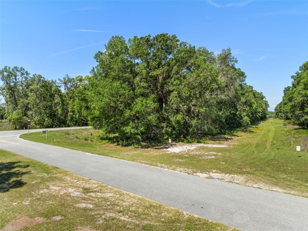 Lot 1 Hojin Street Sorrento FL 32776 O6024761 image20
