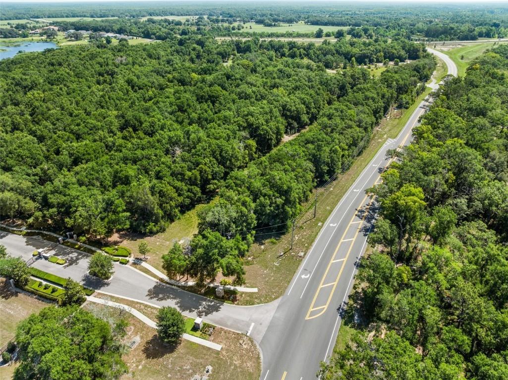 Lot 1 Hojin Street Sorrento FL 32776 O6024761 image21