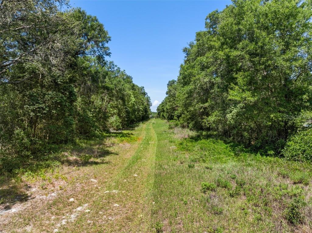 Lot 1 Hojin Street Sorrento FL 32776 O6024761 image25