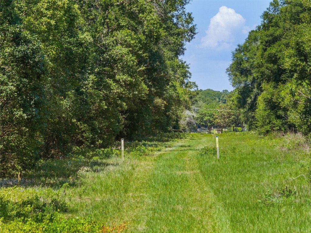 Lot 1 Hojin Street Sorrento FL 32776 O6024761 image26