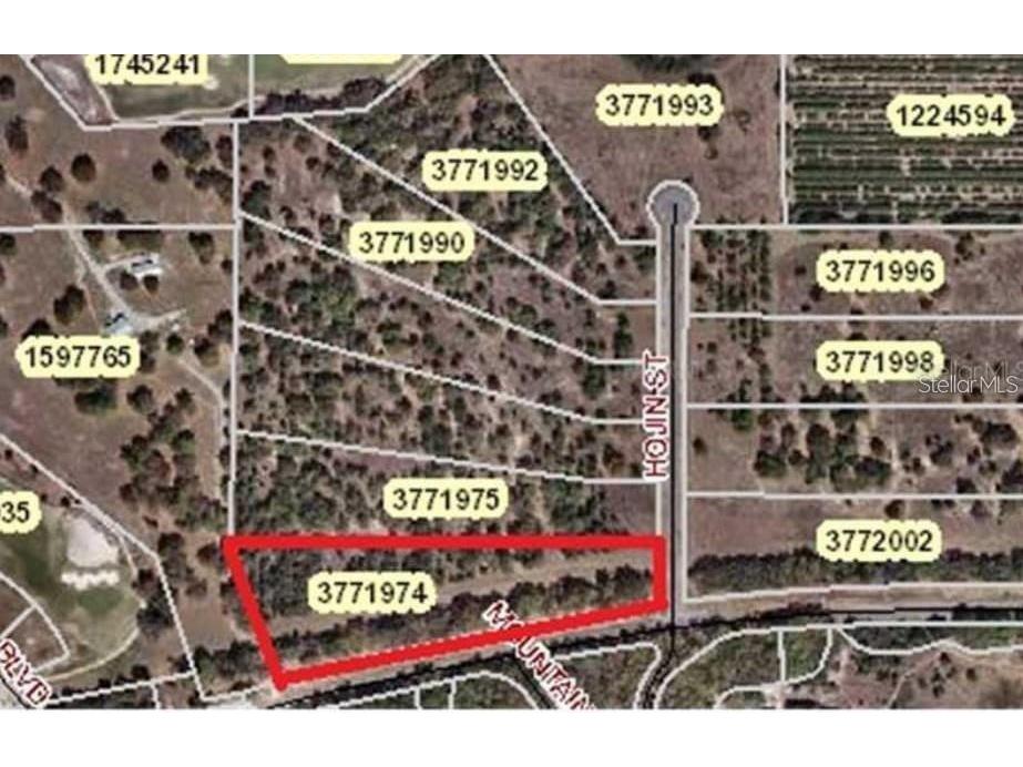 Lot 1 Hojin Street Sorrento FL 32776 O6024761 image27