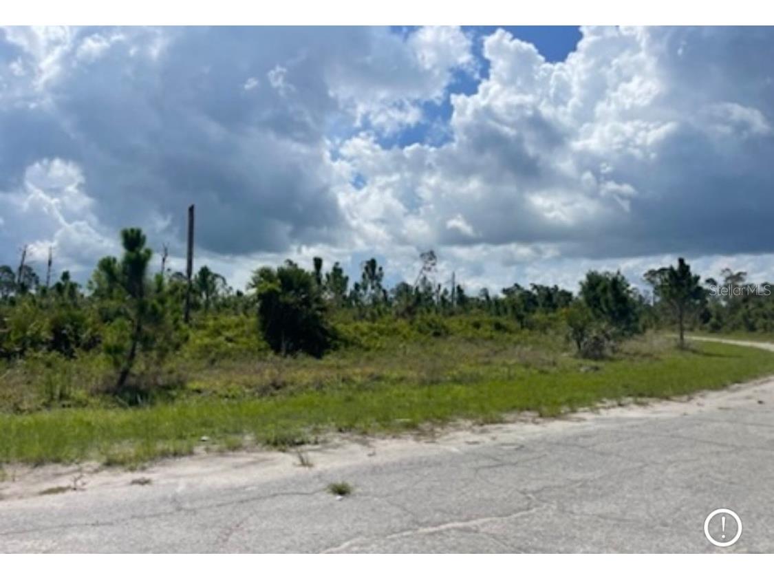 Lot 1 Joewood Circle North Port FL 34288 U8222907 image18