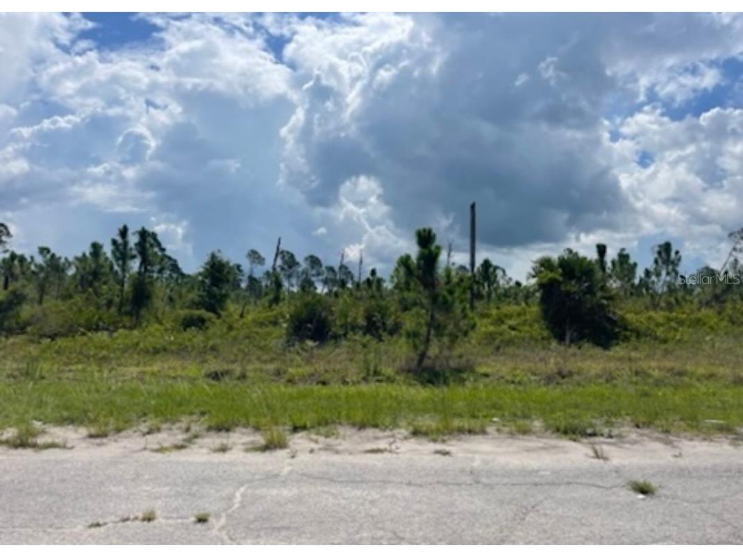Lot 1 Joewood Circle North Port FL 34288 U8222907 image23