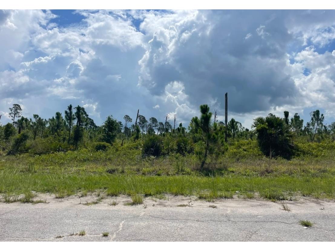 Lot 1 Joewood Circle North Port FL 34288 U8222907 image24