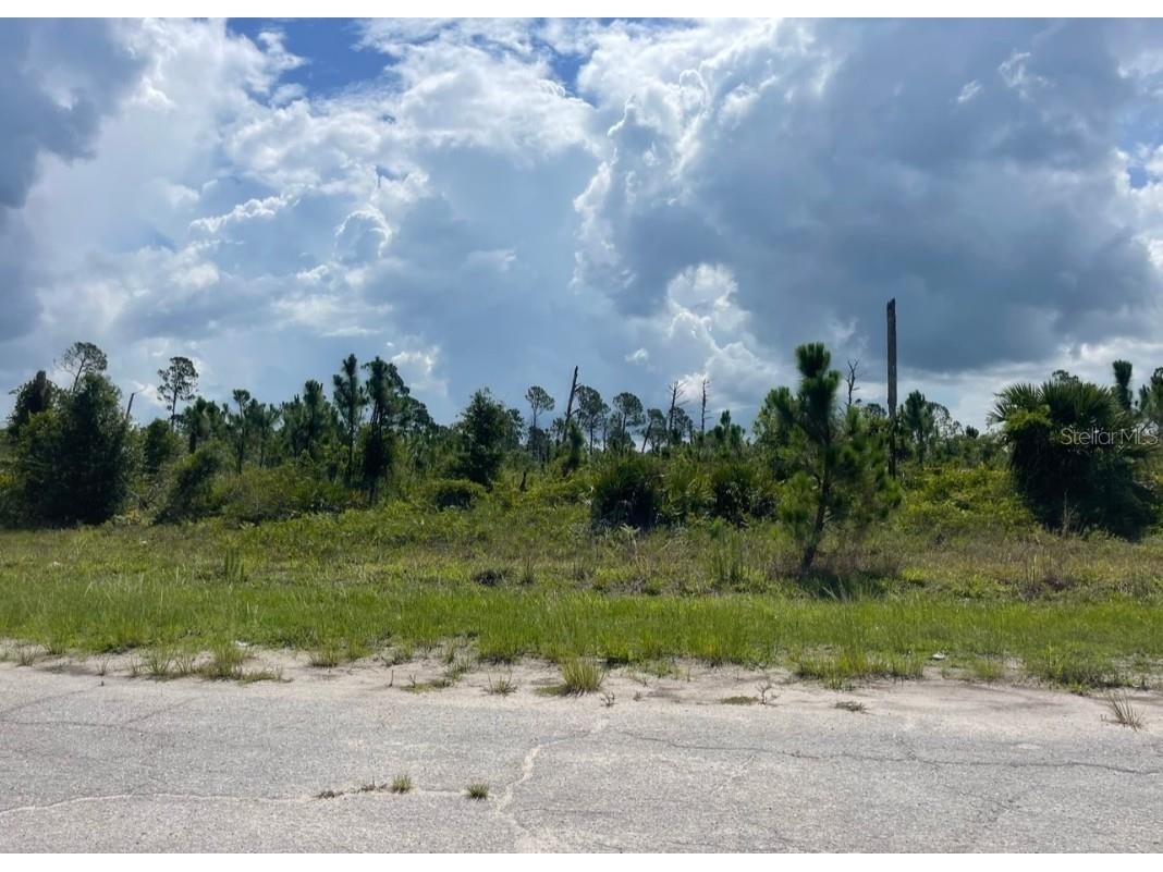Lot 1 Joewood Circle North Port FL 34288 U8222907 image25