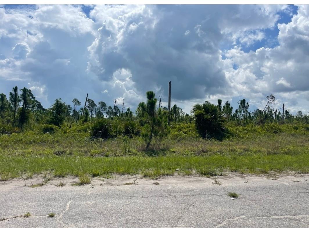 Lot 1 Joewood Circle North Port FL 34288 U8222907 image26
