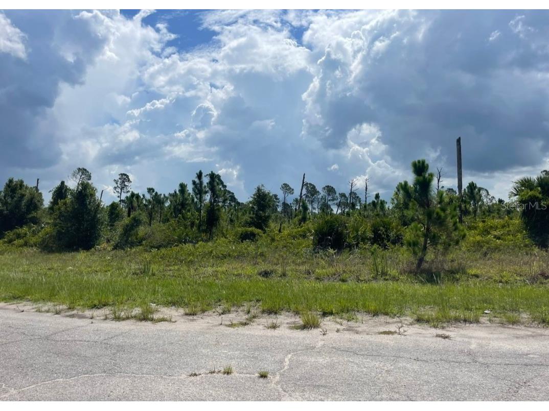 Lot 1 Joewood Circle North Port FL 34288 U8222907 image27