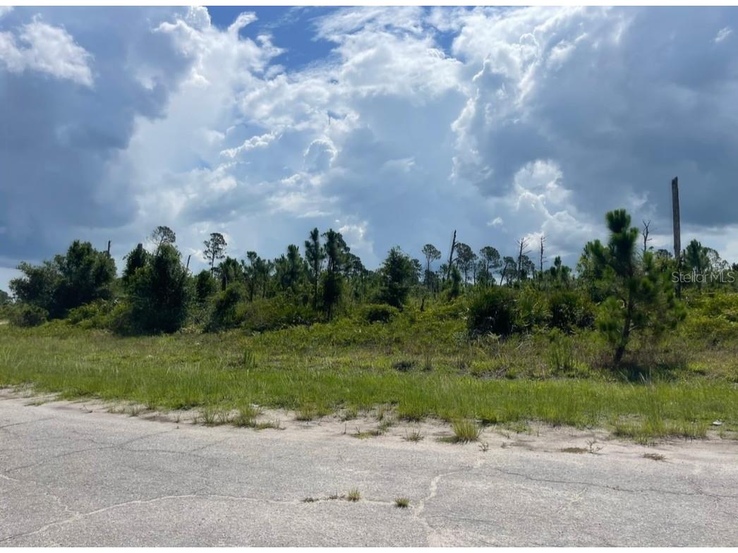 Lot 1 Joewood Circle North Port FL 34288 U8222907 image28