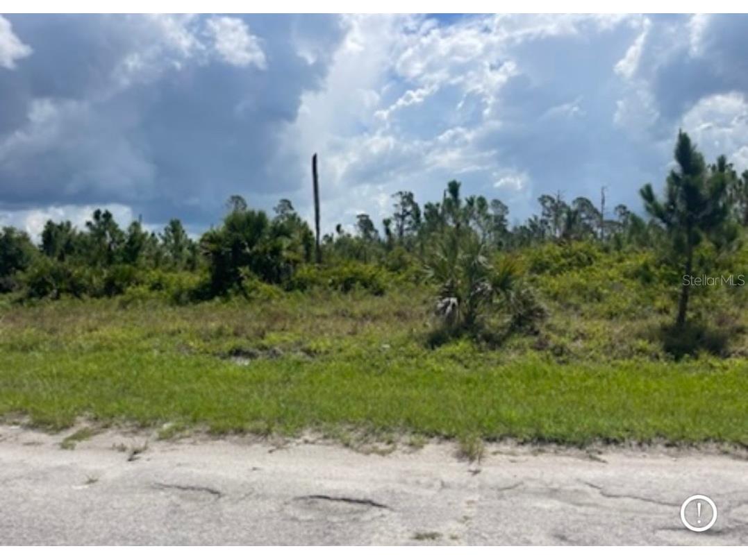 Lot 1 Joewood Circle North Port FL 34288 U8222907 image32