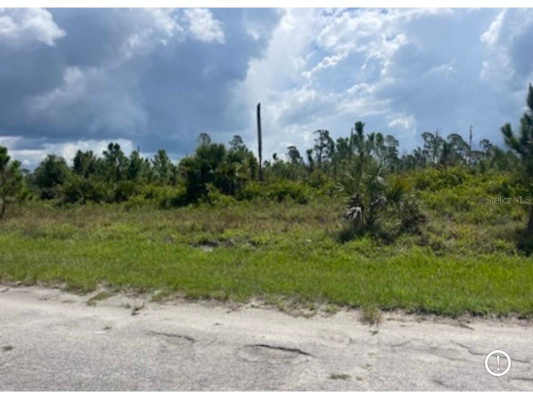 Lot 1 Joewood Circle North Port FL 34288 U8222907 image33