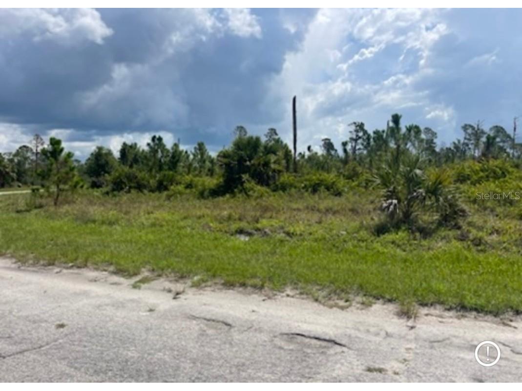 Lot 1 Joewood Circle North Port FL 34288 U8222907 image34