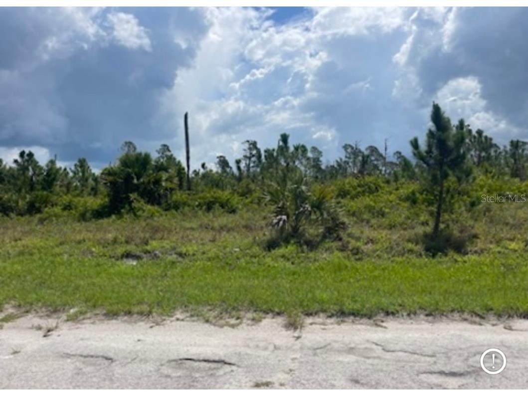 Lot 1 Joewood Circle North Port FL 34288 U8222907 image35
