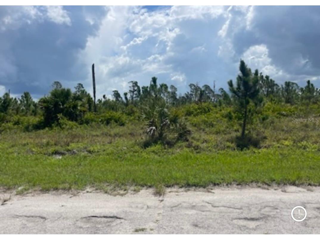 Lot 1 Joewood Circle North Port FL 34288 U8222907 image36