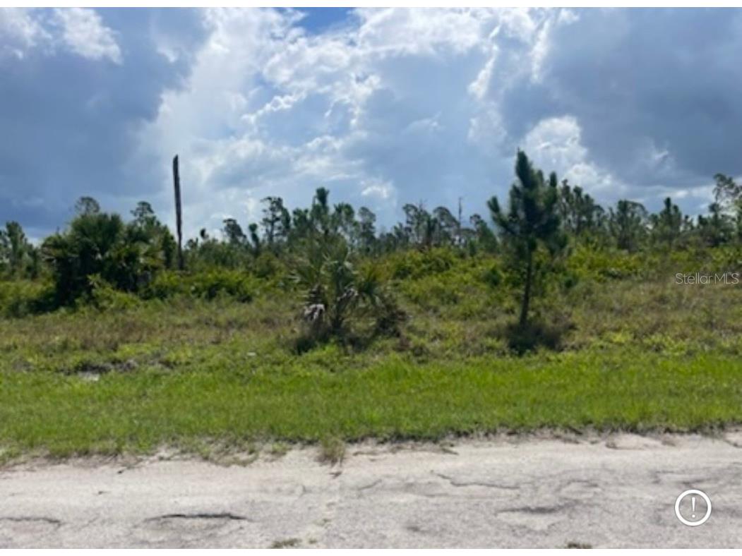 Lot 1 Joewood Circle North Port FL 34288 U8222907 image37