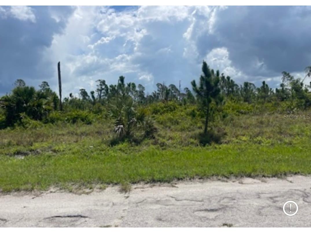 Lot 1 Joewood Circle North Port FL 34288 U8222907 image38