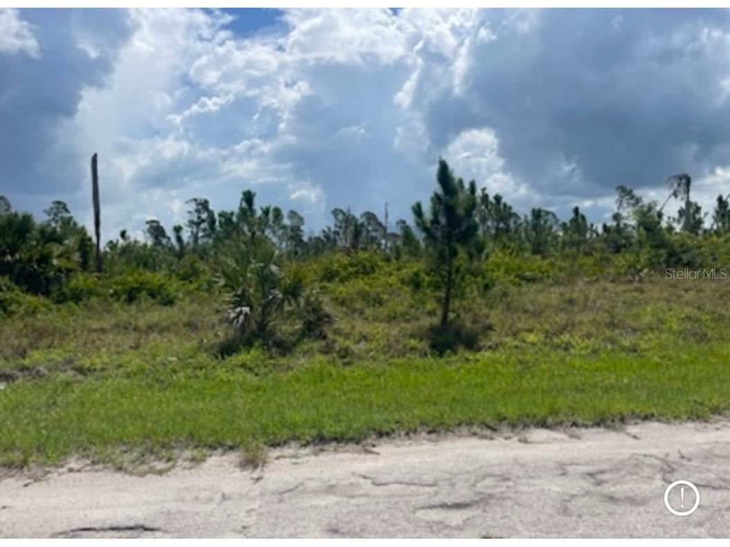 Lot 1 Joewood Circle North Port FL 34288 U8222907 image39