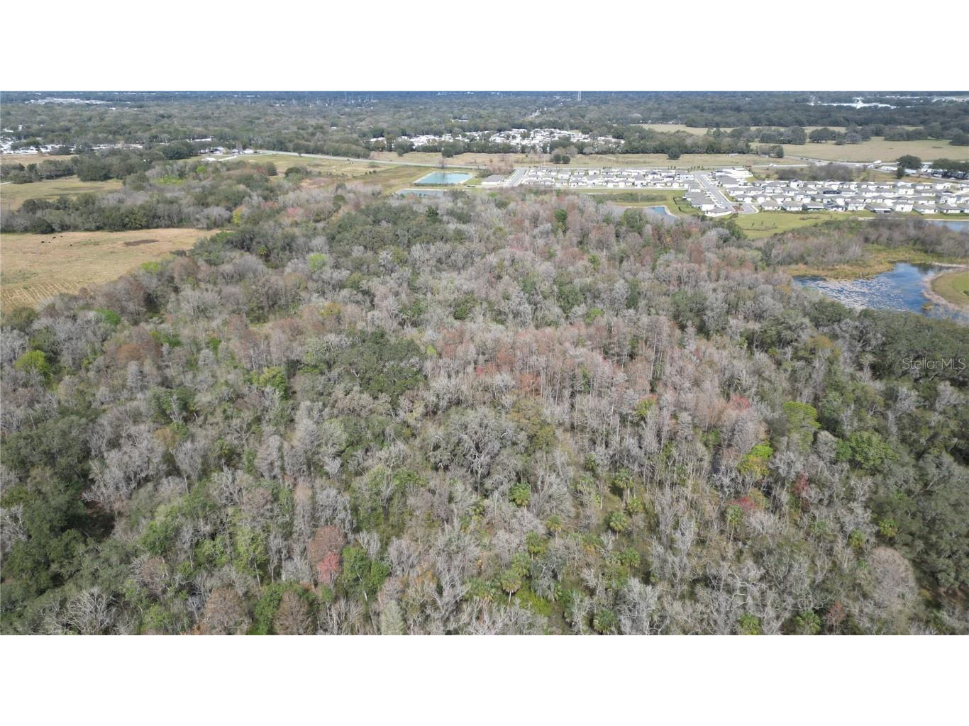 Lot 1 Land Road Zephyrhills FL 33540 L4954045 image1
