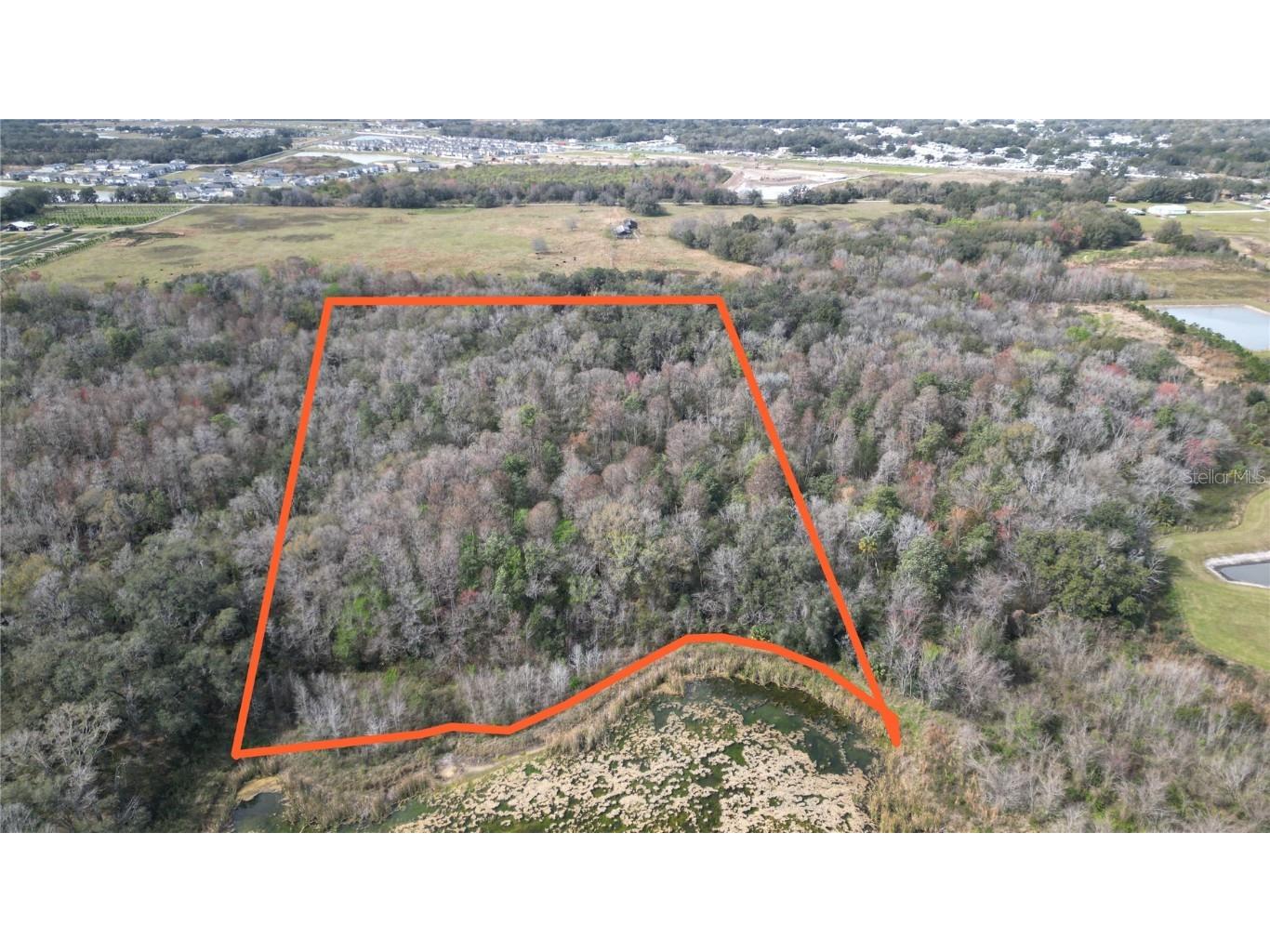 Lot 1 Land Road Zephyrhills FL 33540 L4954045 image5