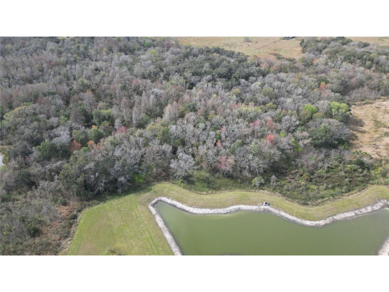 Lot 1 Land Road Zephyrhills FL 33540 L4954045 image6