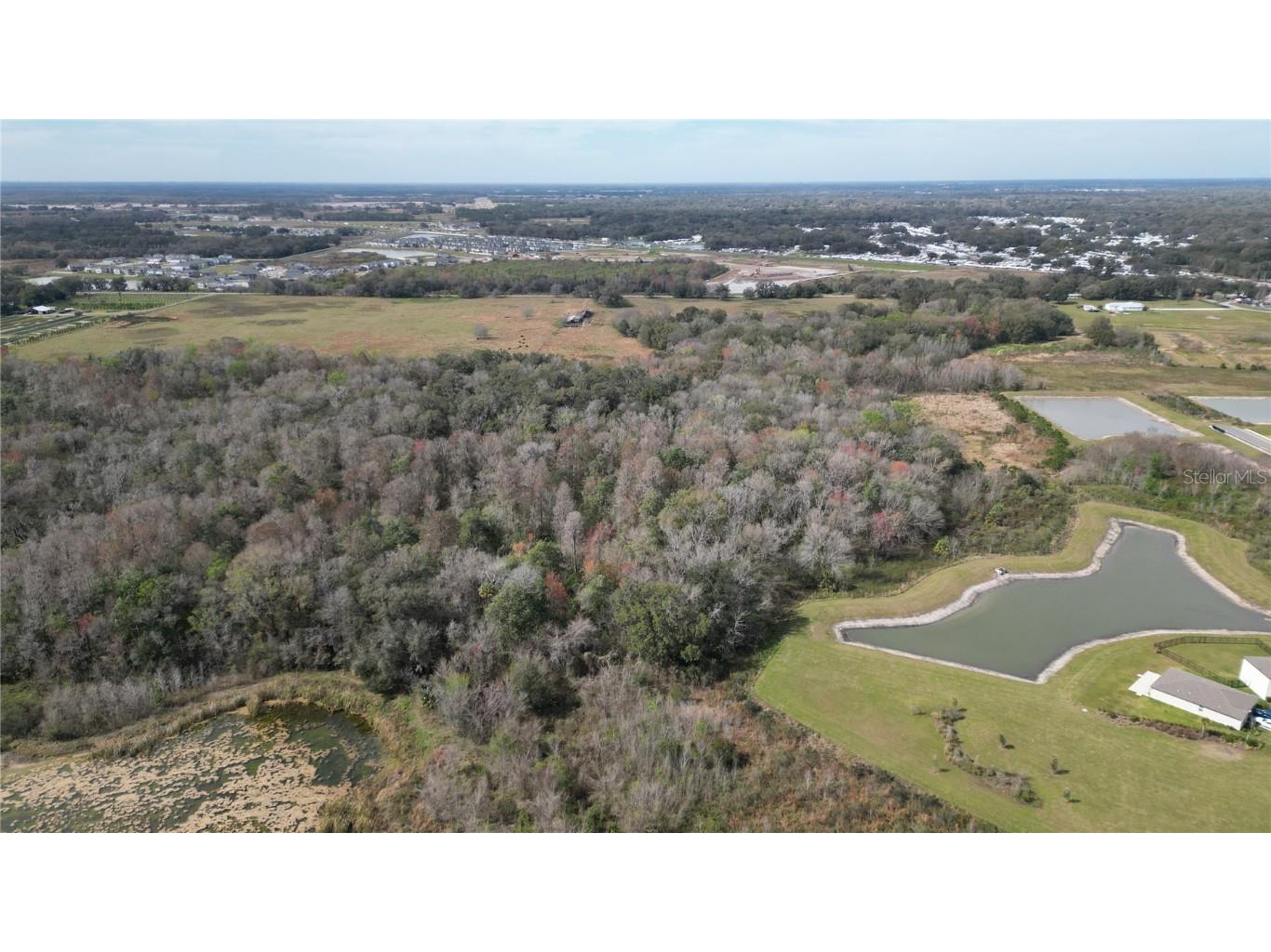 Lot 1 Land Road Zephyrhills FL 33540 L4954045 image7