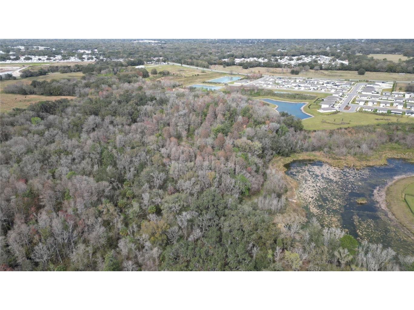 Lot 1 Land Road Zephyrhills FL 33540 L4954045 image9