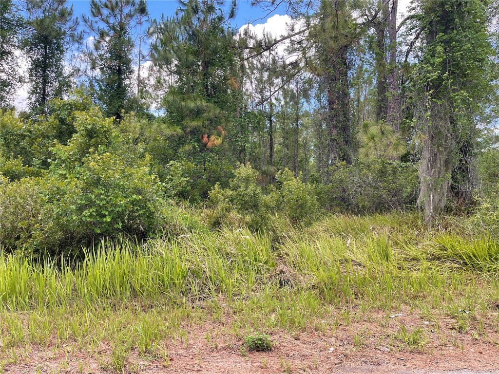 Lot 1 Locust Place Run Ocala FL 34472 OM701230 image1