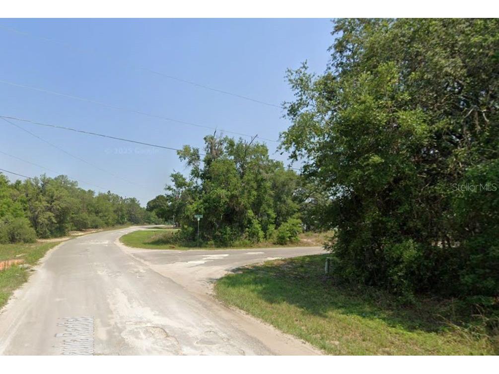 Lot 1 Maluka Radial Ocklawaha FL 32179 OM720938 image1
