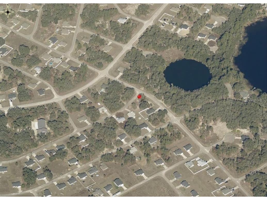 Lot 1 Maluka Radial Ocklawaha FL 32179 OM720938 image10