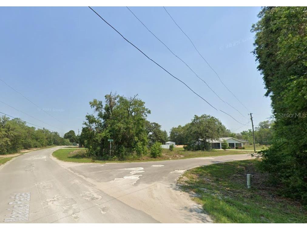 Lot 1 Maluka Radial Ocklawaha FL 32179 OM720938 image2