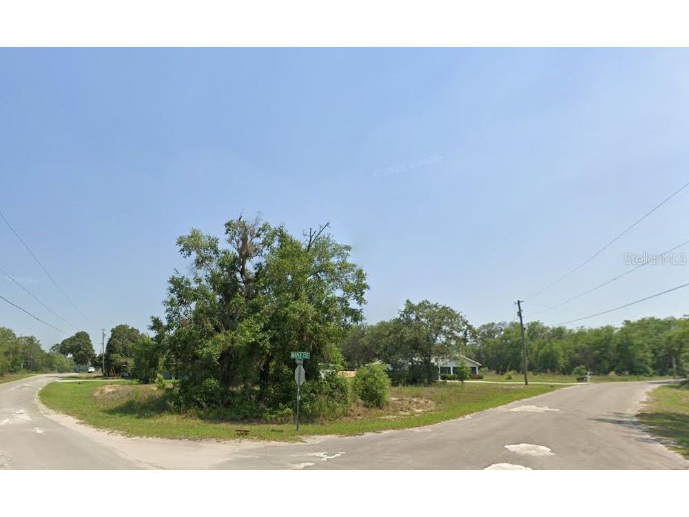 Lot 1 Maluka Radial Ocklawaha FL 32179 OM720938 image3