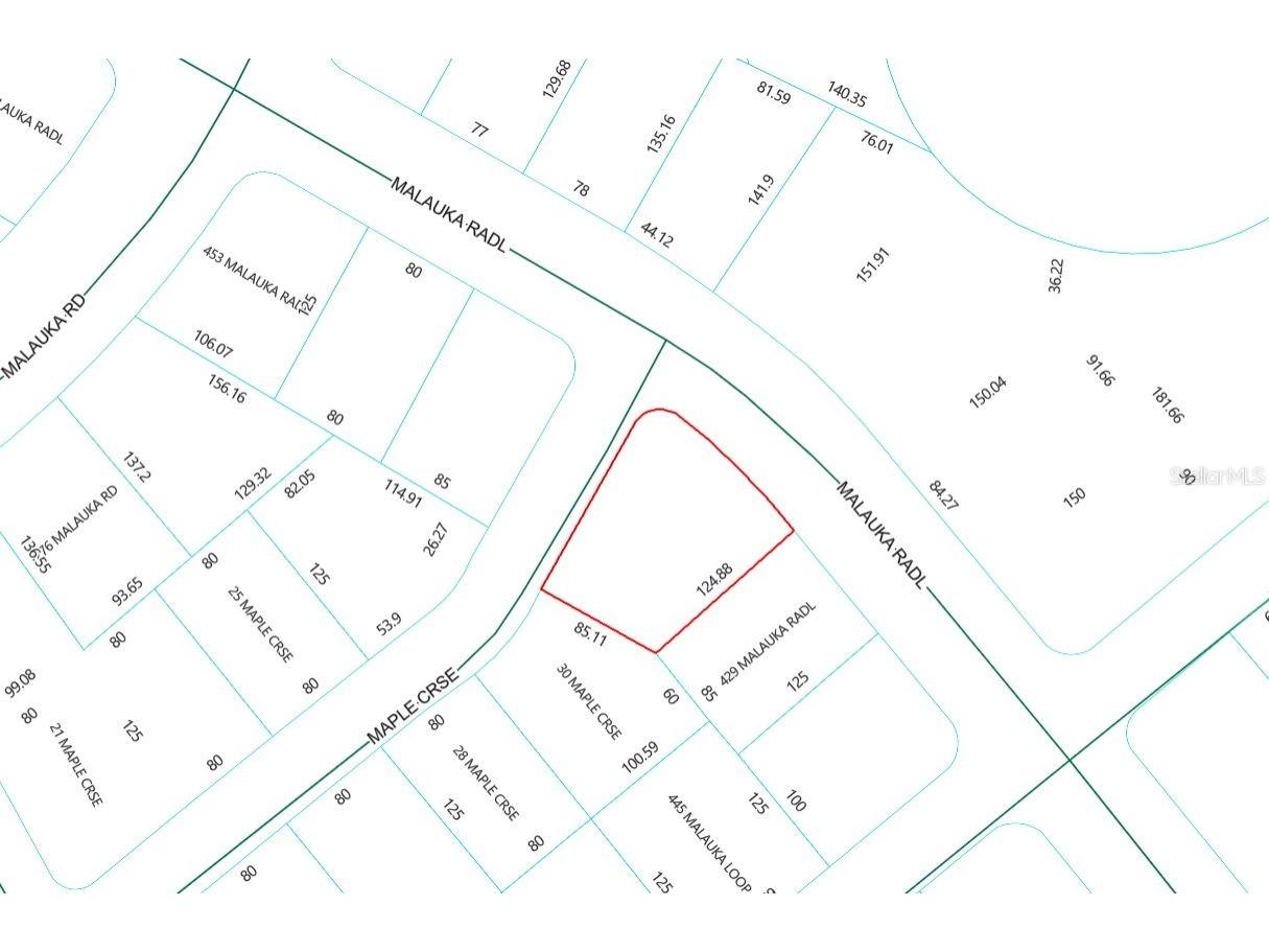 Lot 1 Maluka Radial Ocklawaha FL 32179 OM720938 image4