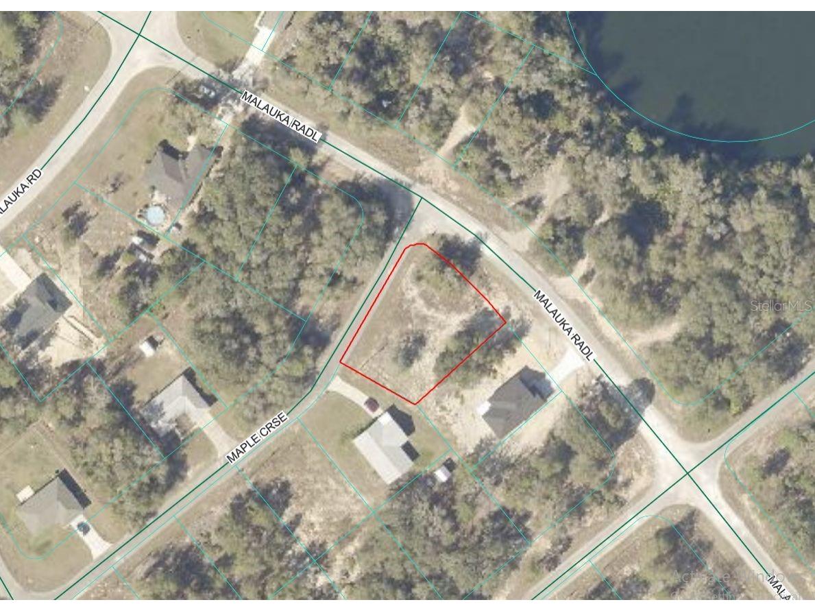 Lot 1 Maluka Radial Ocklawaha FL 32179 OM720938 image5