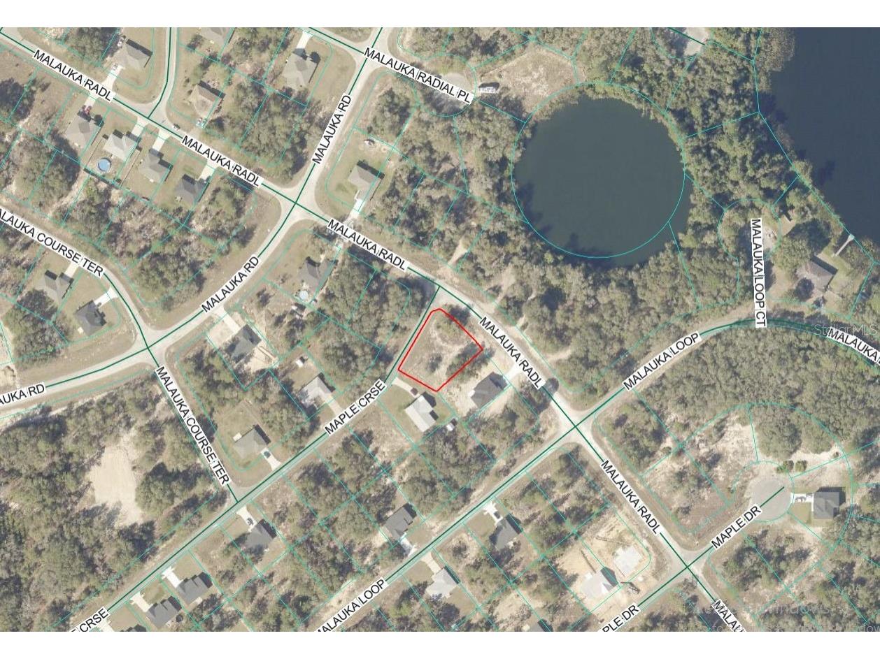Lot 1 Maluka Radial Ocklawaha FL 32179 OM720938 image7