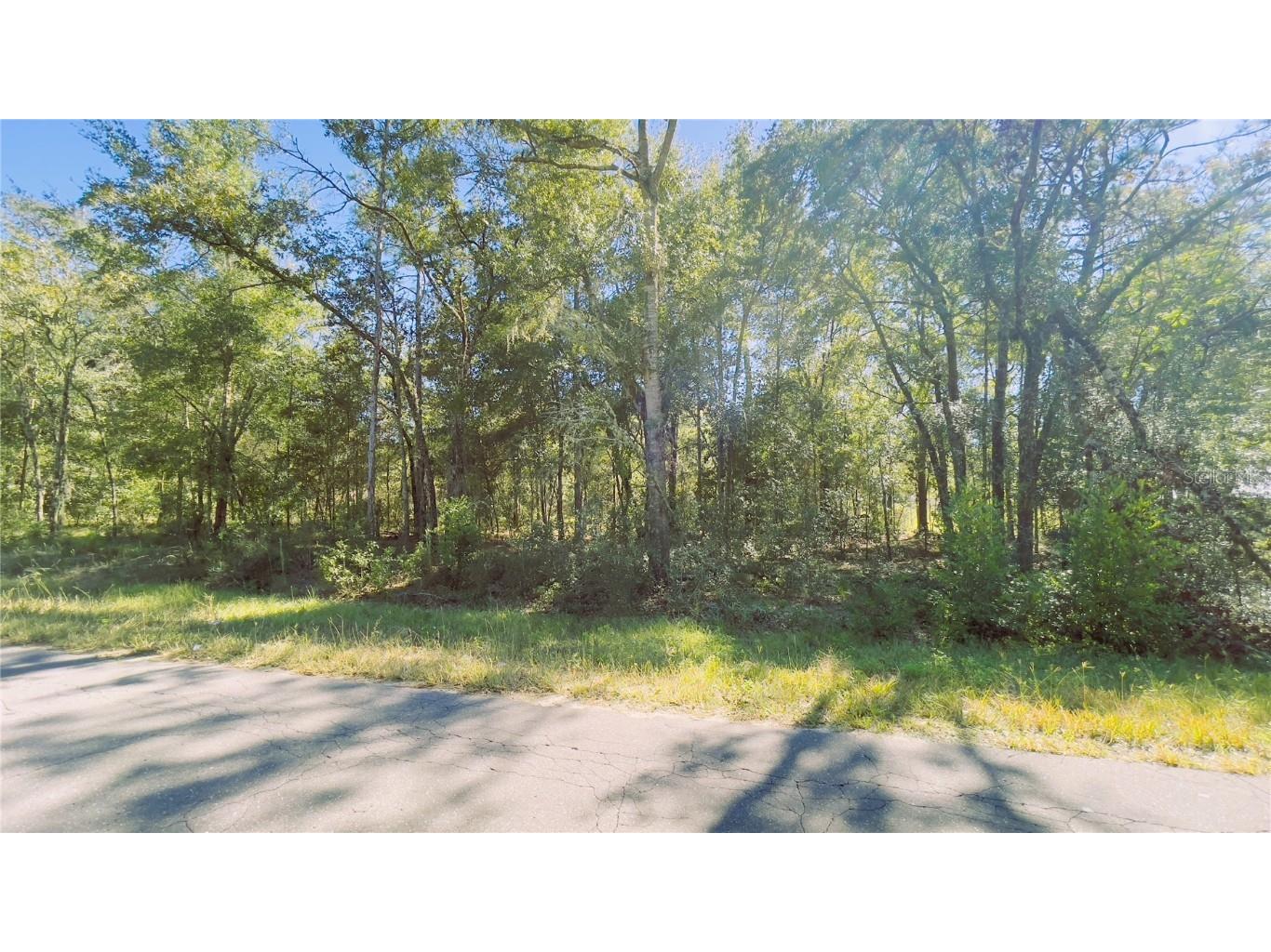 Lot 1 NE 15th Street Williston FL 32696 GC516951 image1