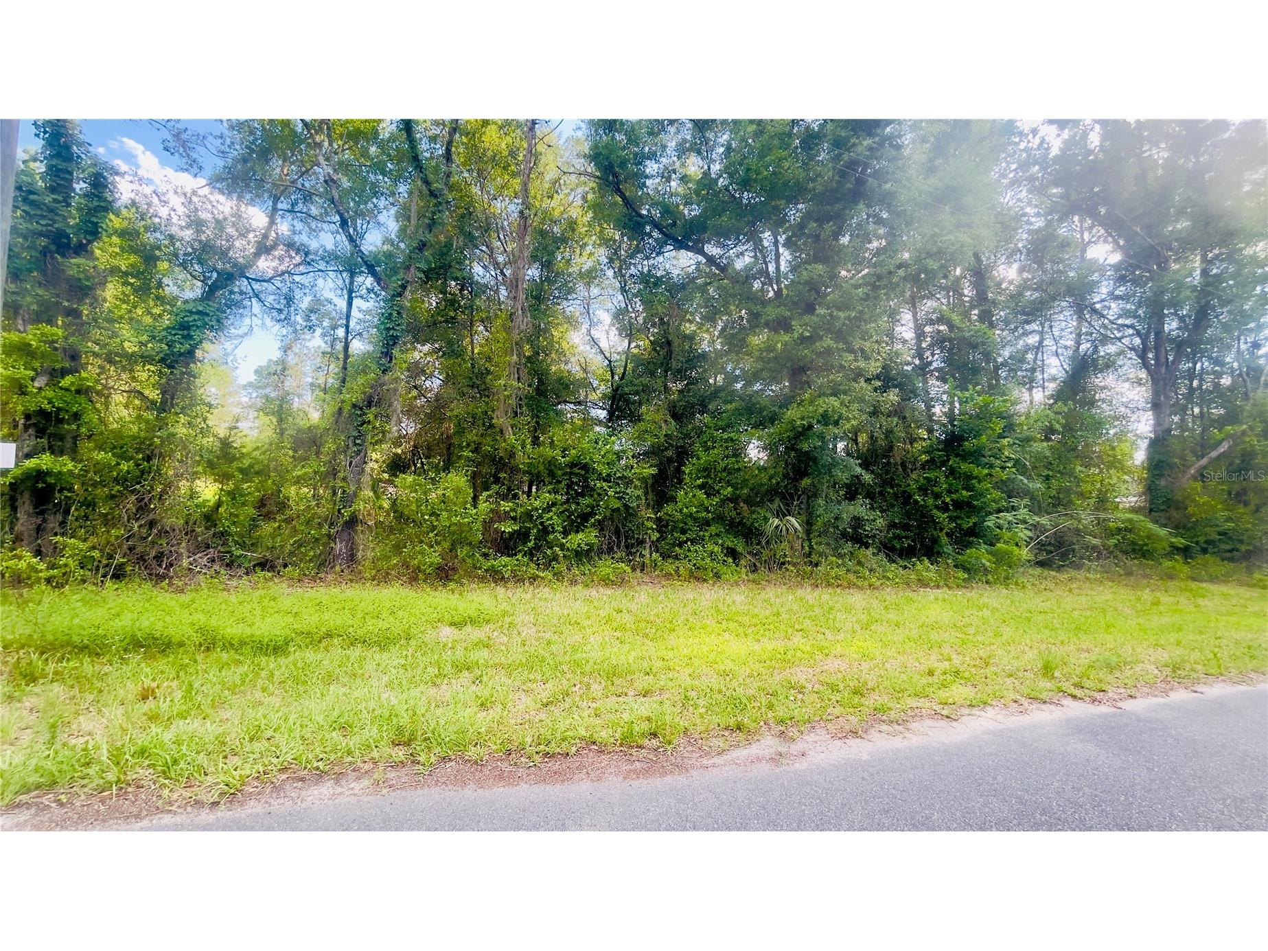 Lot 1 NE 66th Ln Bronson FL 32621 GC540540 image3