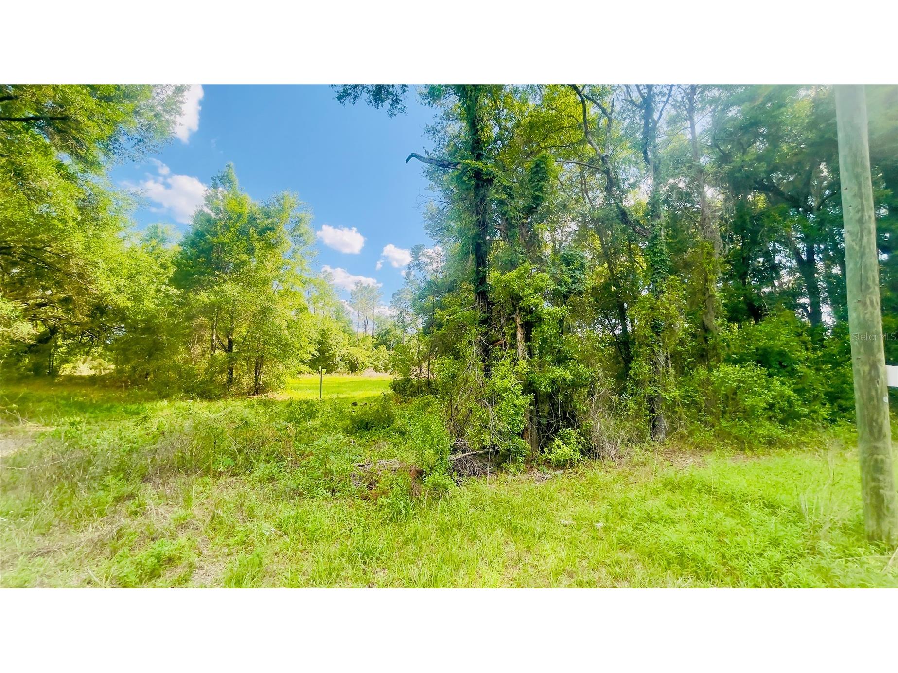 Lot 1 NE 66th Ln Bronson FL 32621 GC540540 image4