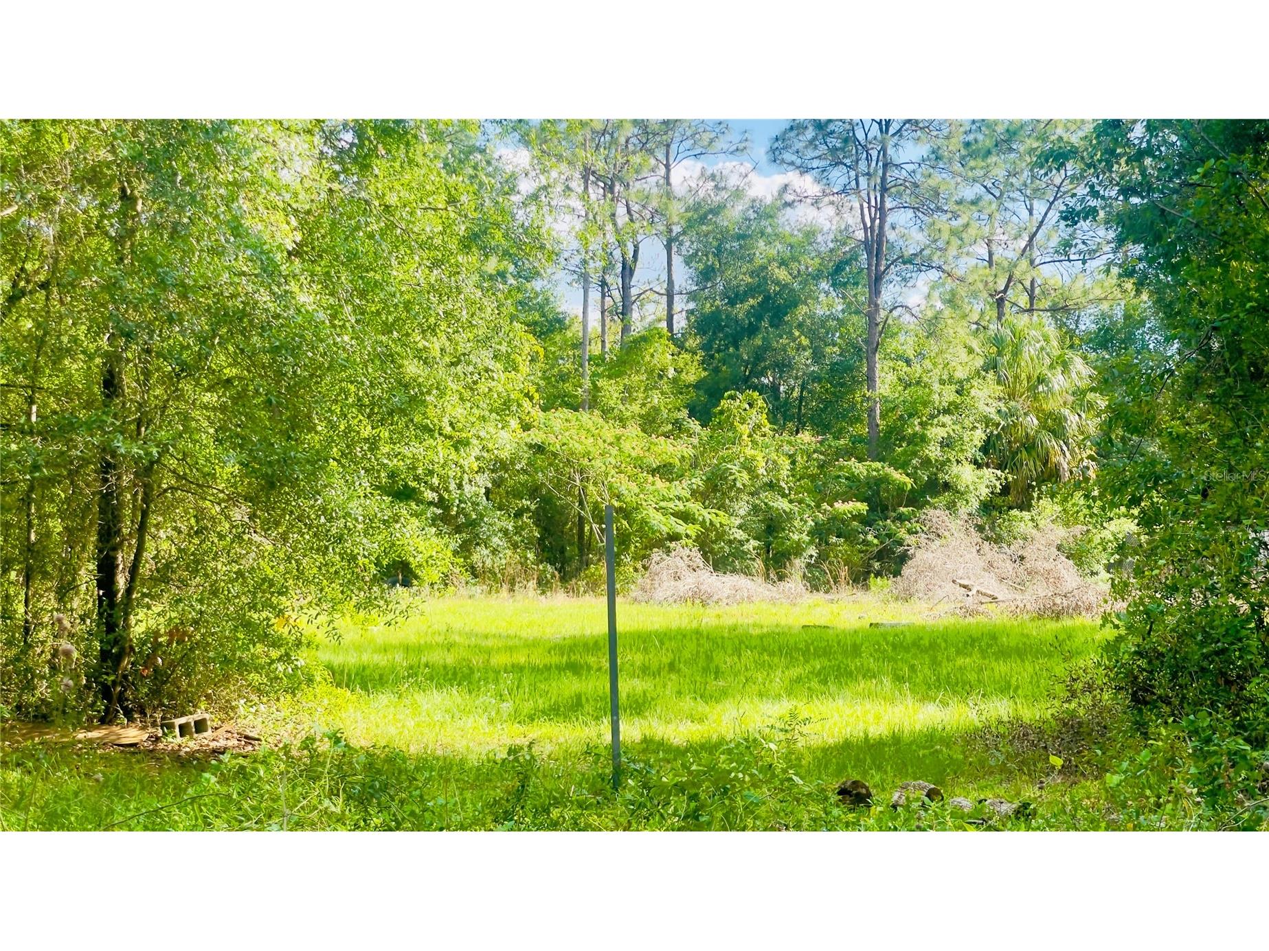 Lot 1 NE 66th Ln Bronson FL 32621 GC540540 image5