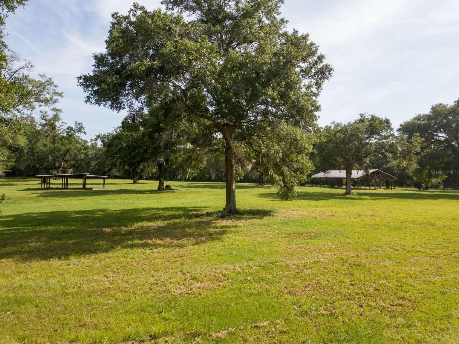 Lot 1 NW 94th Avenue Alachua FL 32615 TB8529437 image2