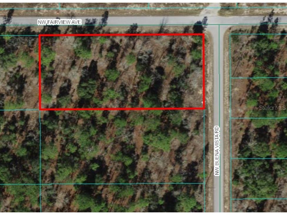 Lot 1 NW Buena Vista Road Dunnellon FL 34431 OM671863 image1