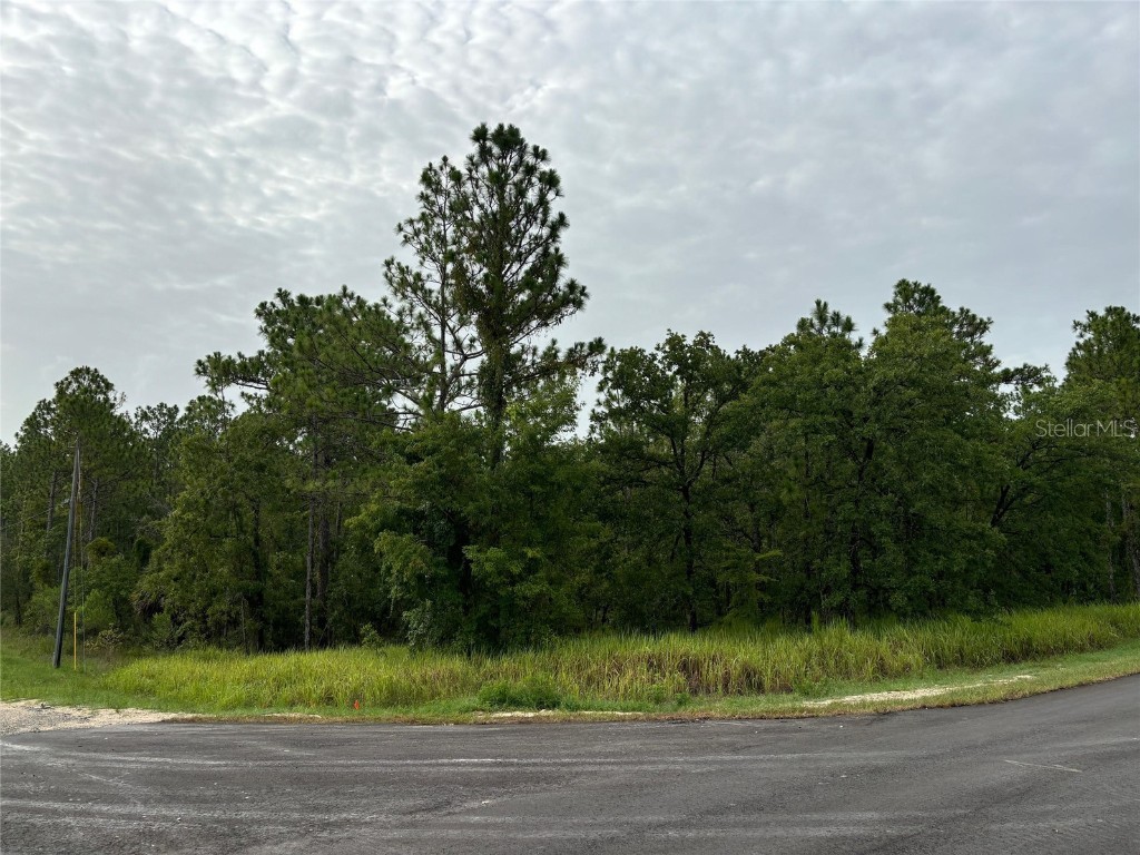Lot 1 Penn State Road Weeki Wachee FL 34614 W7866532 image1