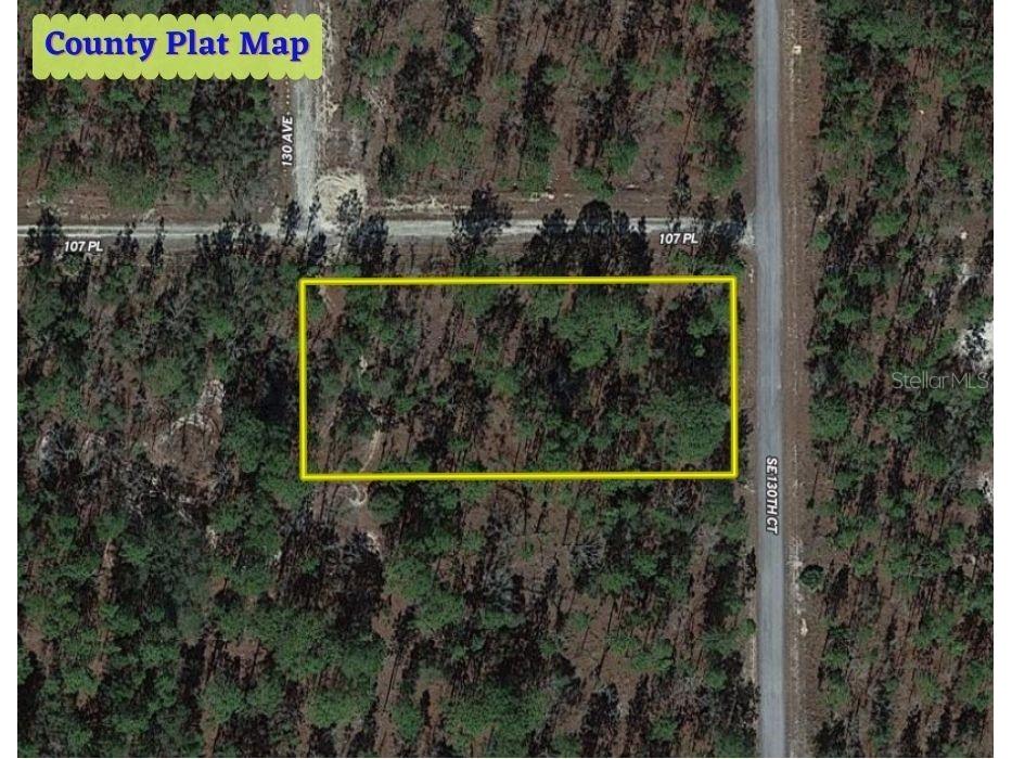 Lot 1 SE 130th Court Dunnellon FL 34431 OM656025 image1
