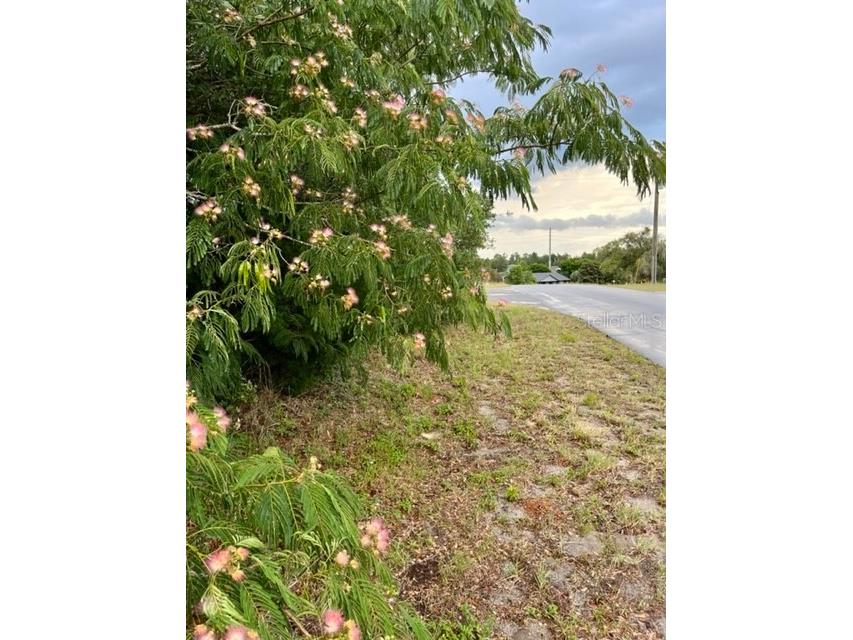 Lot 1 SW 52 Circle Ocala FL 34473 OM664933 image1