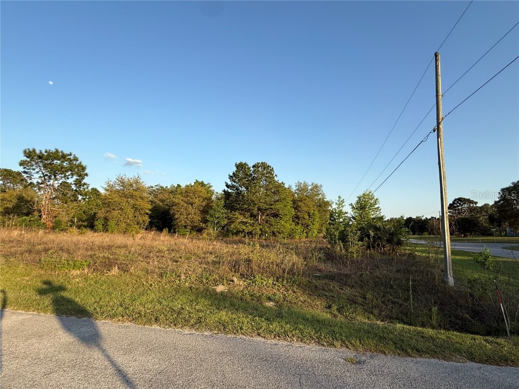 Lot 1 SW 65th Loop Dunnellon FL 34432 S5124973 image1