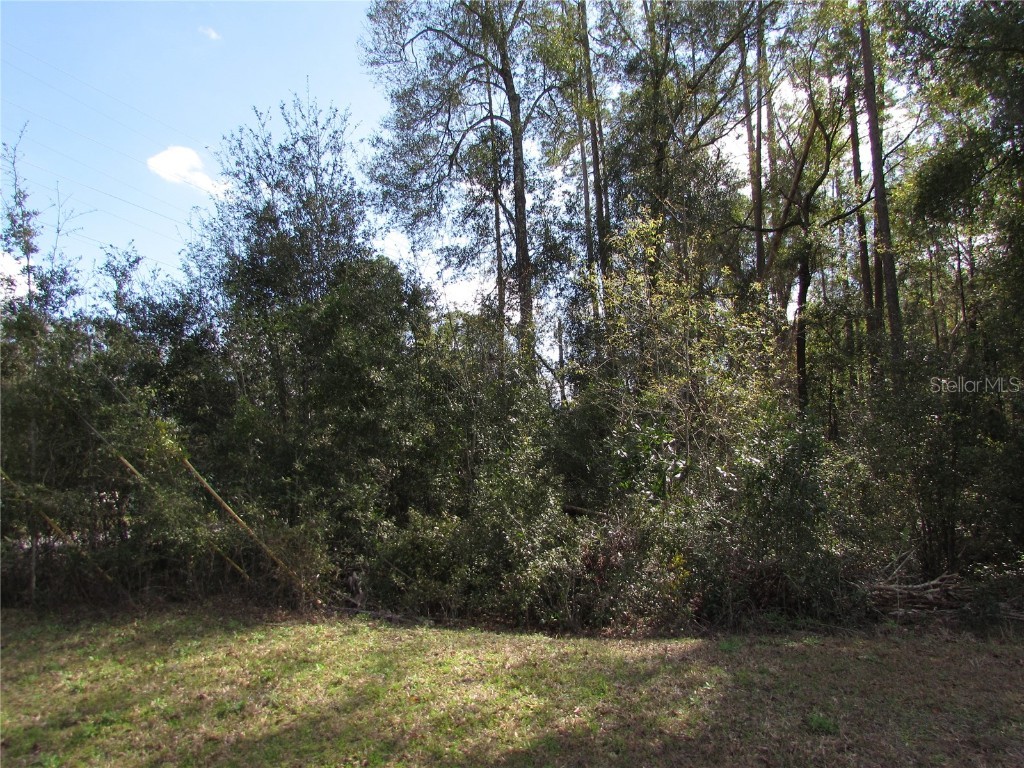 Lot 1 SW Marine Boulevard Dunnellon FL 34431 OM695401 image1