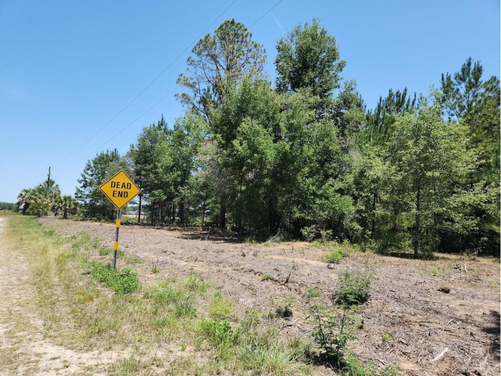Lot 1 SW Pine Bluffs Road Dunnellon FL 34431 OM704177 image16